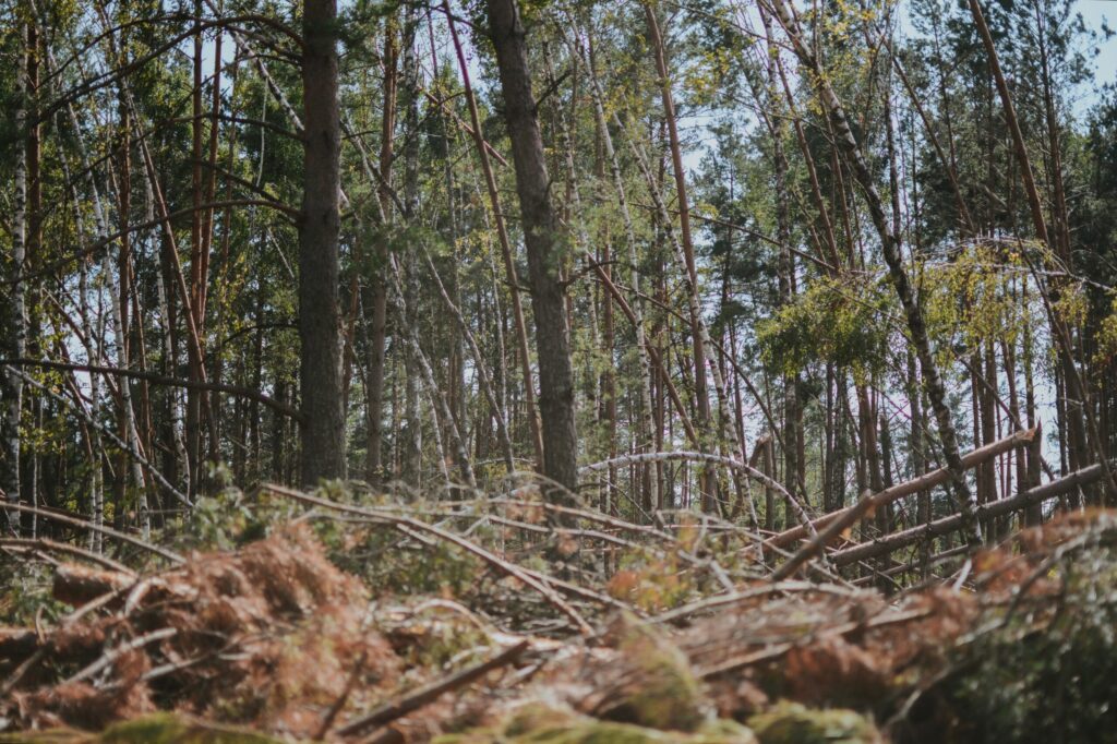 APCIA Testifies in Support of the Fix Our Forests Act