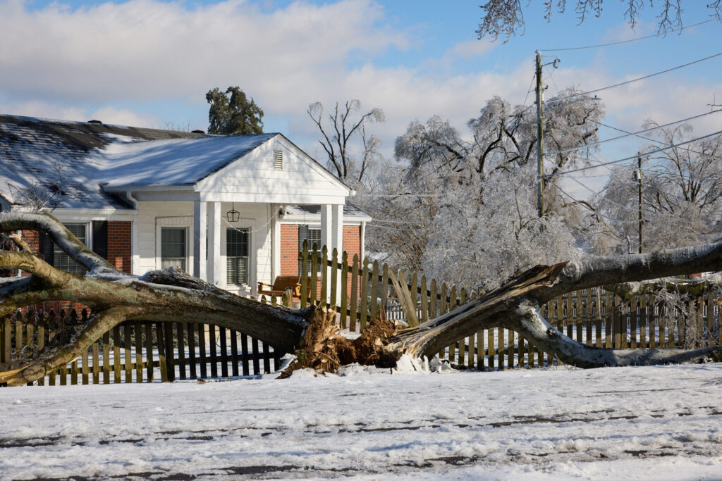 Record-Breaking Cold Hits South, Leaving Snow, Accidents and Crop Damage