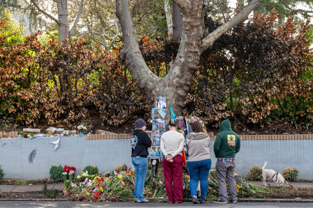 ‘It’s on fire. Help please’