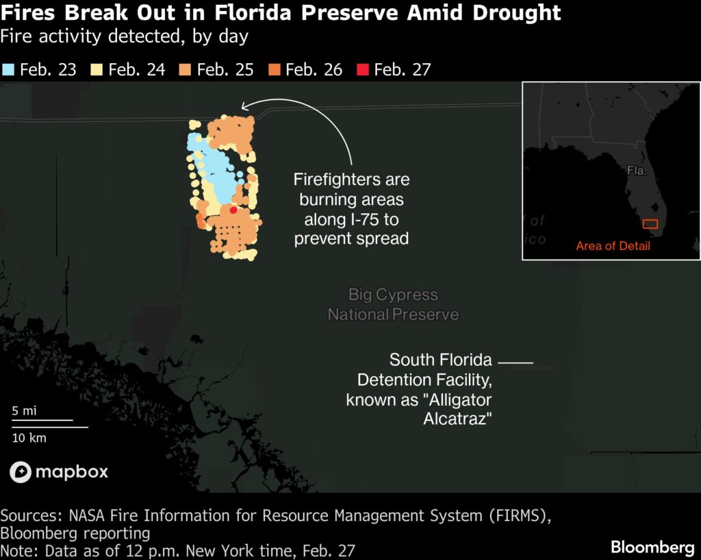 Deep Freeze and Drought Fueled a Massive Florida Wildfire Deep Freeze and Drought Fueled a Massive Florida Wildfire