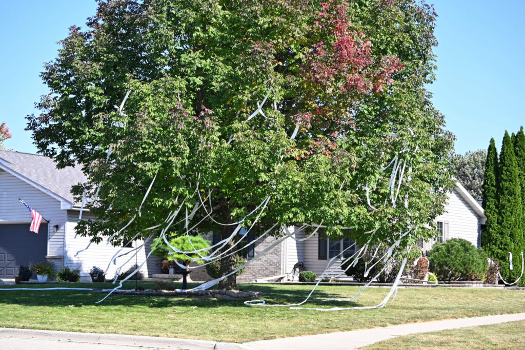 Georgia Teacher Killed When Toilet Paper Prank by Students Goes Wrong