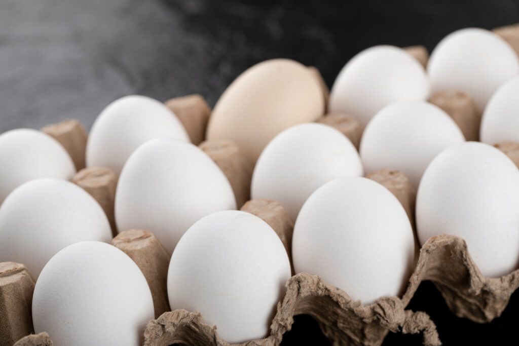 Justice Department Targets Leading US Egg Producers in Antitrust Case: Report