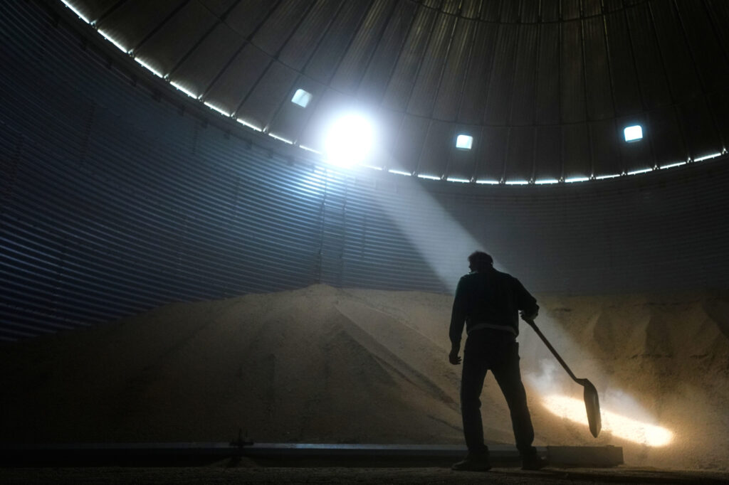 Midwest Soybean Farmers Face Financial Struggles Amid Rising Costs