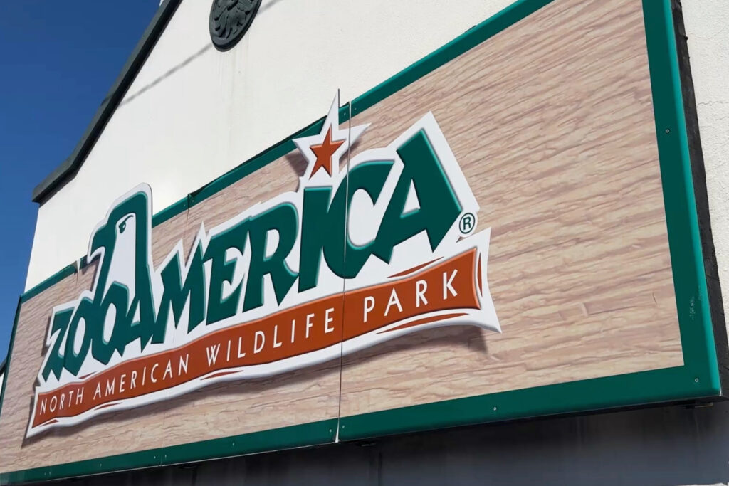Parents Charged After Child Is Hurt Crawling Into Wolf Area at Zoo