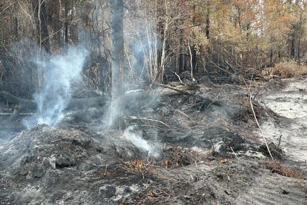 Rain Helped, But Georgia Officials Warn That Wildfires Still a Threat