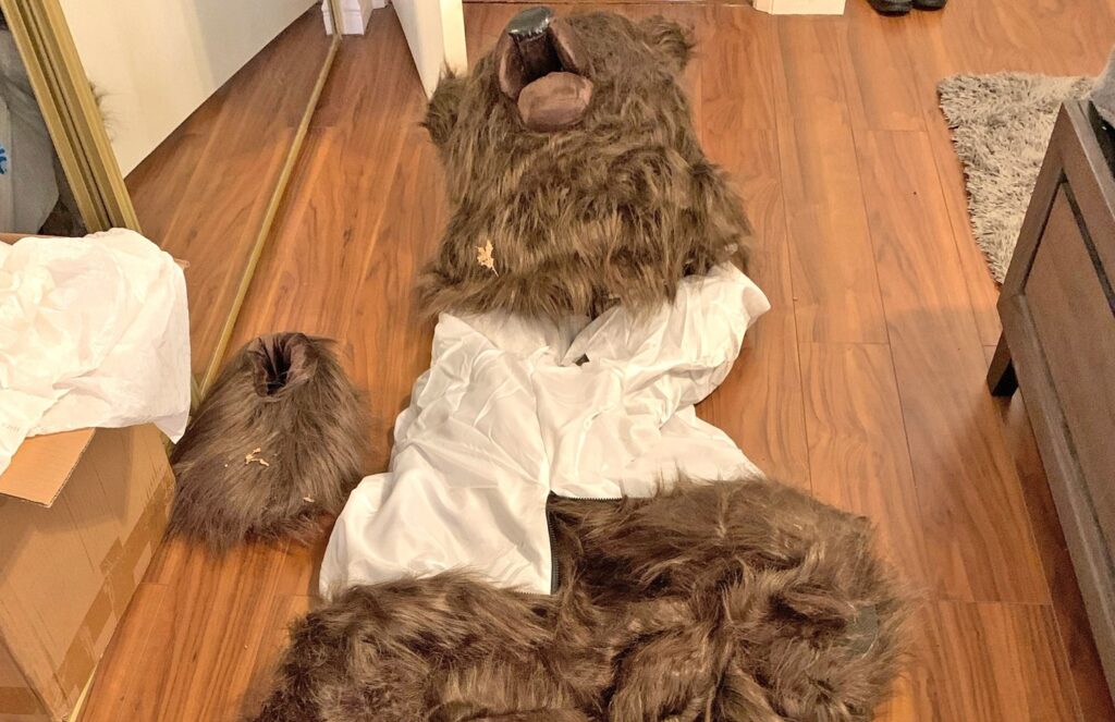 Three Sentenced in Bear-Suit Attacks Insurance Fraud Case